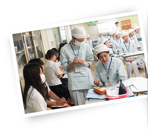 カリキュラムについて